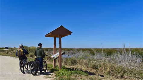 Lake Apopka Loop Trail – Florida Hikes