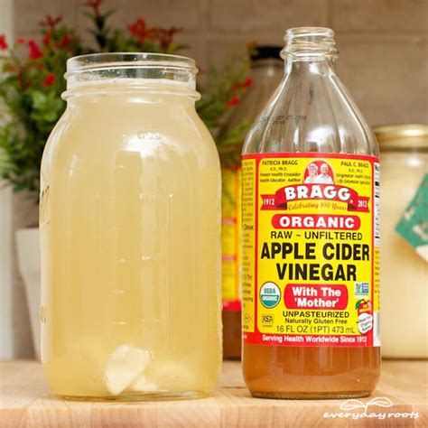 33 Ways to Drink Apple Cider Vinegar | Tonics, Teas & Mocktails