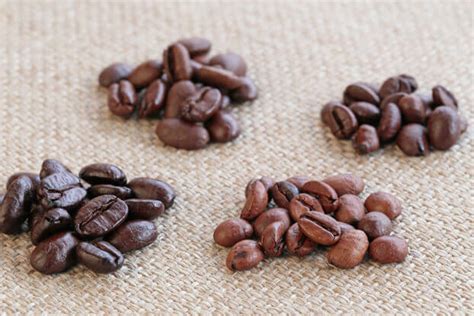 A Definitive Guide to the 4 Main Types of Coffee Beans - Atlas Coffee Club