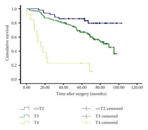 (a) Overall survival of patients with mucinous adenocarcinoma and ...