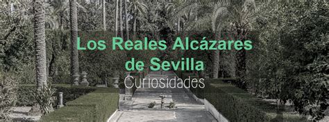 Los Reales Alcázares. Curiosidades - Andalusia Guided Tours