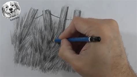 Grass Drawing Pencil