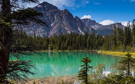 Jasper National Park | Earth Blog