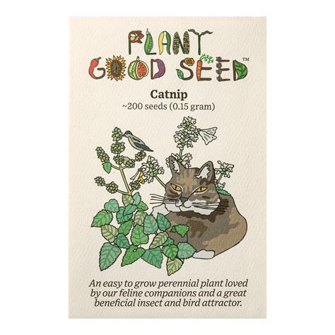 Catnip Seeds - The Plant Good Seed Company