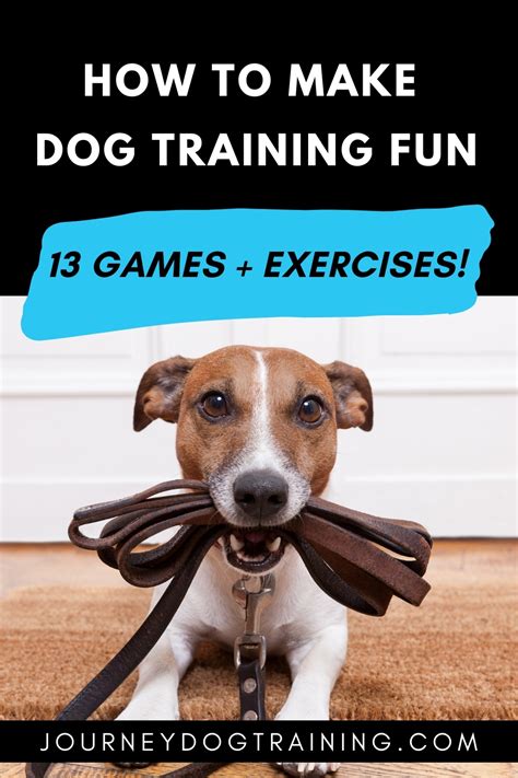 13 Dog Training Games and Exercises with Video Demos | Journey Dog Training