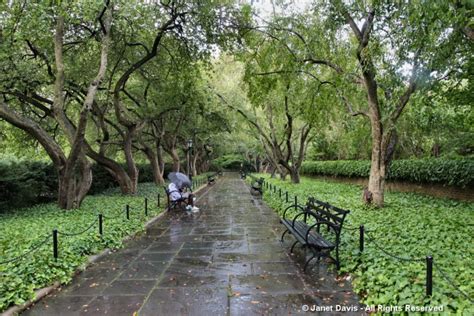 August in New York’s Conservatory Garden | Janet Davis Explores Colour