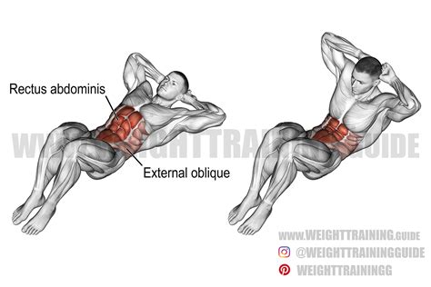 Weighted Crunches Muscles Worked | ppgbbe.intranet.biologia.ufrj.br