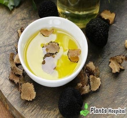 Truffle Oil: 9 Best Health Benefits & Uses, Warnings And More