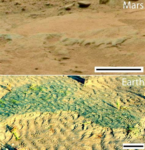 Curiosity Finds Possible Signs of Ancient Microbial Life on Mars | Sci.News