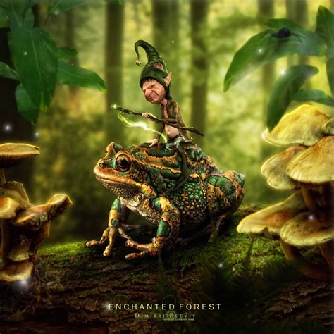 Enchanted Forest by Dimitri Elevit | Fantasy | 3D | Enchanted forest ...