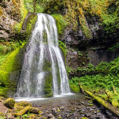 Top Waterfall Trails in the Willamette Valley - Travel Oregon