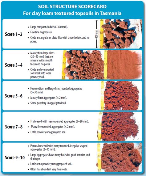 Characteristics Of Soil Types