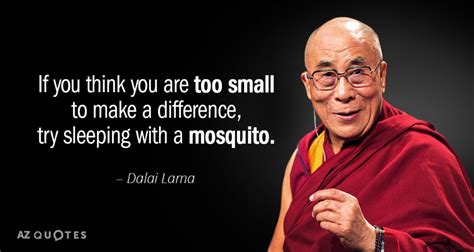 Dalai Lama quote: If you think you are too small to make a...