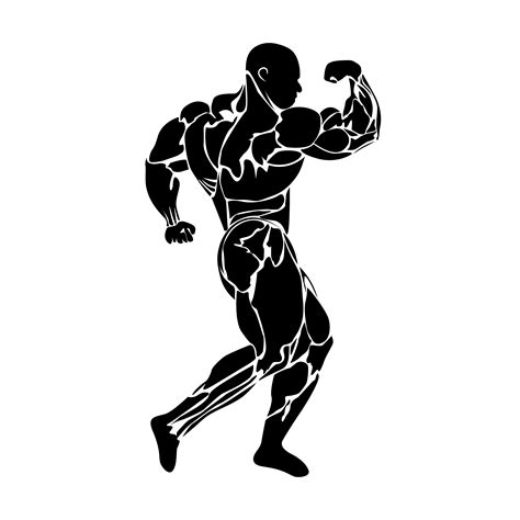 bodybuilding, vector | Healthcare Illustrations ~ Creative Market