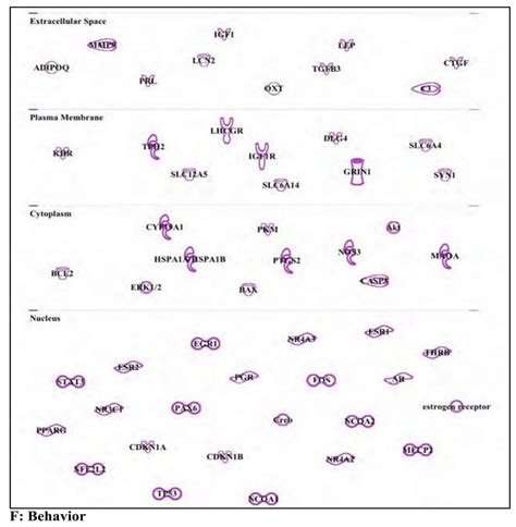 Bisphenol A. Panel A: Structure of bisphenol A (BPA) and legend of ...