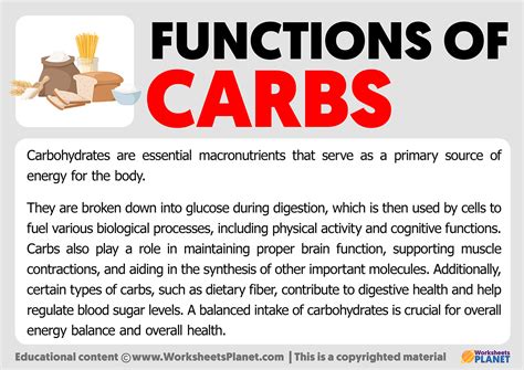 Function of Carbohydrates