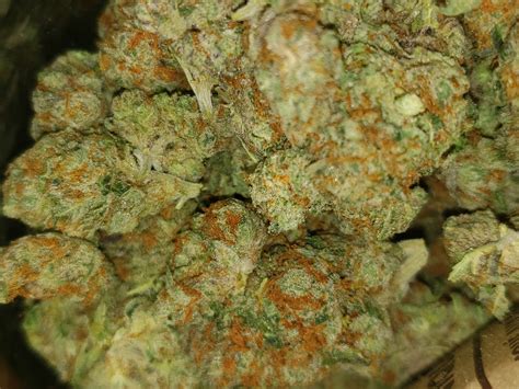 Fatso OG Marijuana Strain Information & Reviews | AllBud