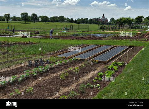 UNITED STATES - May 23, 2016: Ida Lee Park in Leesburg Virginia. Ida ...