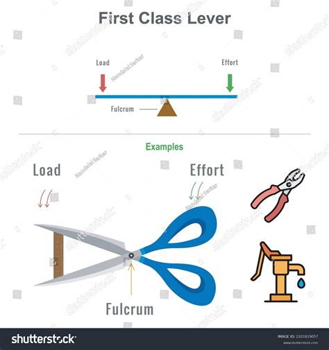 Types Lever Educational Diagram Including First Stok Vektör (Telifsiz ...