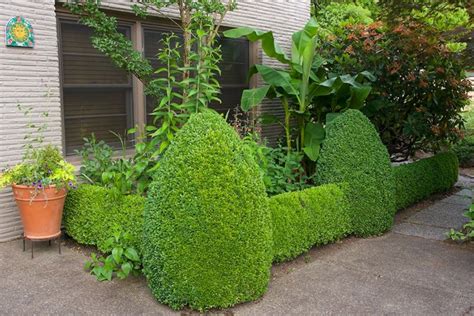 10 Creative Ideas for a Small Garden