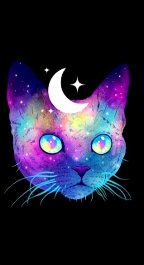 Space Cat Phone HD phone wallpaper | Pxfuel