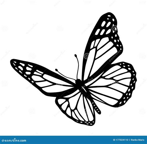 Butterfly Black And White Tribal Tattoo Cut Out Silhouette Vector ...