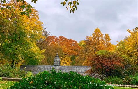 Beautiful Fall Colors in New York City's Central Park: Trip Idea