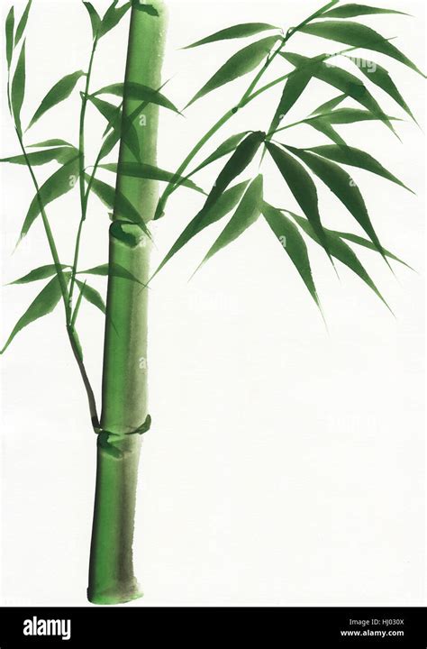 art, tree, leaves, painting, bamboo, lawn, green, foliage, plant ...