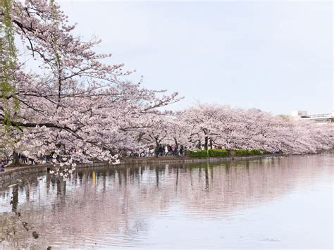 Ueno Park Tokyo, Japan - Condé Nast Traveler