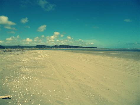 Foxton Beach | New zealand houses, Beach, Outdoor