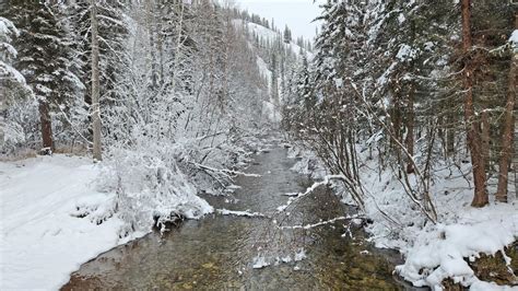 Chena Hot Springs Experience