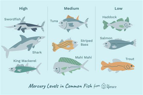 Mercury Levels in Fish and Suggested Servings