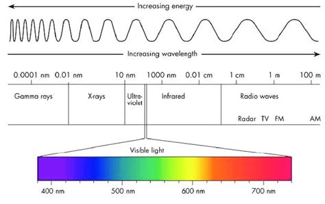 1 Diagram of the light's electromagnetic spectrum, showing the ...