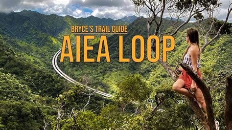 Aiea Loop Trail on Oahu Hawaii - The "Pretty Tree Hike" - Bryce's Trail ...