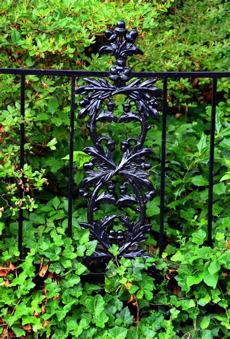 Black Wrought Iron Fence stock photo. Image of iron - 195916172