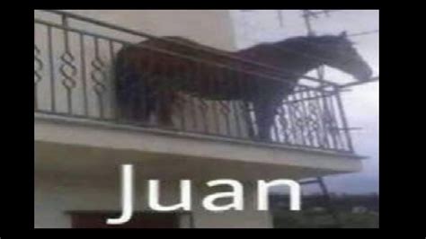 Juan Meme : Meme Of The Year Potential For Juan Memes - Apr 29, 2021 ...