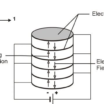 SKETCH OF THE WORKING PRINCIPLE OF A PIEZOELECTRIC STEPPED ACTUATOR ...