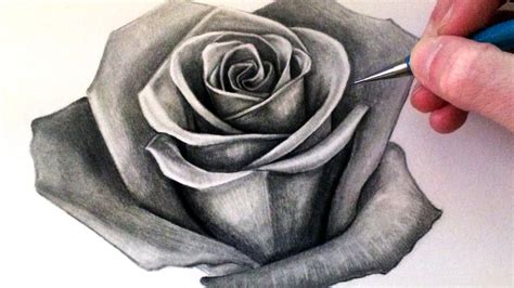 How to Draw a Rose - YouTube