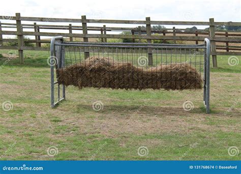 Animal Hay Feeding Rack. stock photo. Image of rack - 131768674