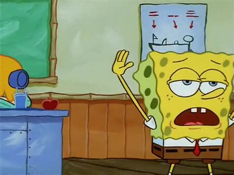 Spongebob Mocking Bird Meme