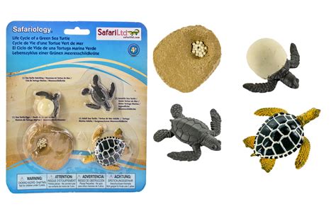 Buy Safari Ltd. Life Cycle of a Green Sea Turtle - Educational Toy ...