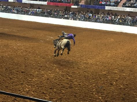 Fort Worth Stock Show & Rodeo: An Inside Look at the Oldest Stock Show ...