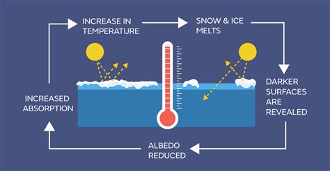 Sea ice in the climate system - Met Office