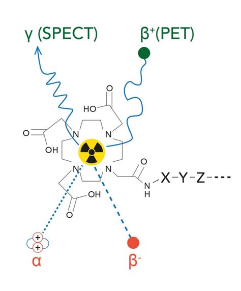 Molecular probes: a favourable tactic for the diagnosis and treatment ...