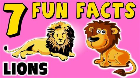 10 Fun Facts About Lions - Disa