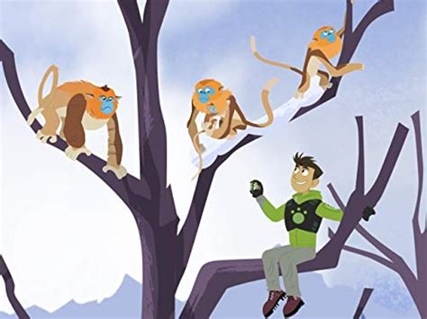 "Wild Kratts" Golden Snub Nosed Monkey Man (TV Episode 2016) - IMDb