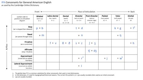 Easy Guide: American IPA vs IPA - Which is the Best?