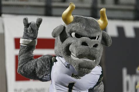 Why your mascot sucks: University of South Florida Bulls - Bucky's 5th ...