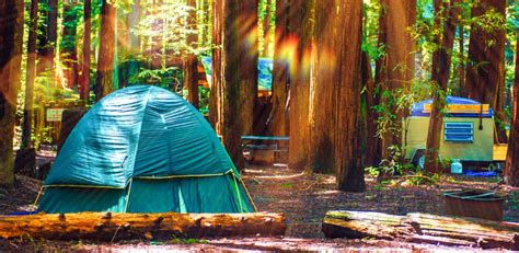 Where to Stay Near Redwood National Park