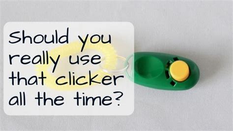 Should You Really Use A Clicker All The Time? - SpiritDog Training